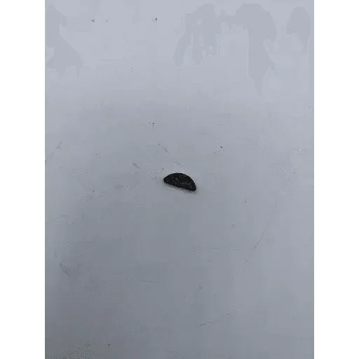 00561 ลิ่ม MS381 - GUCUT