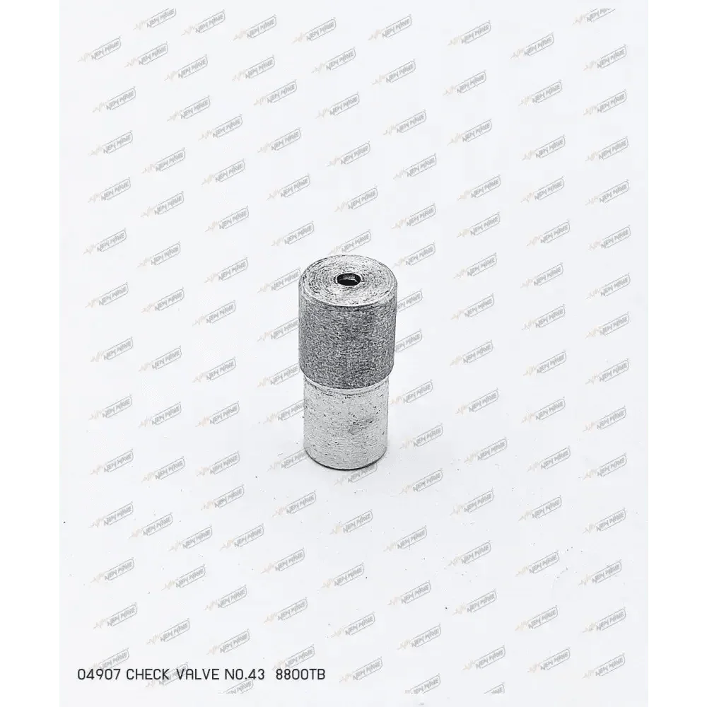 04907 CHECK VALVE NO.43 8800TB - GUCUT